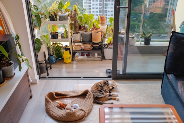 sunčana terasa sa saksijama i kliznim vratima